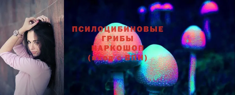 KRAKEN tor  Армянск  Псилоцибиновые грибы Psilocybine cubensis  наркошоп 